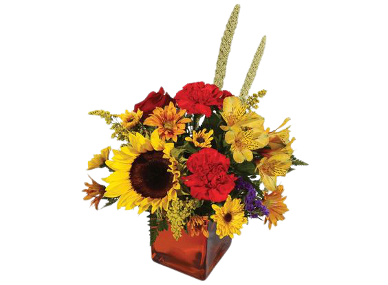 Полевые цветы