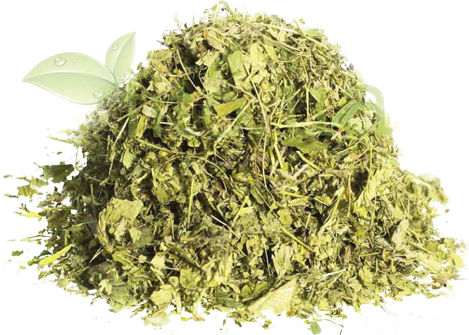 Сушеные листья клубники лесной