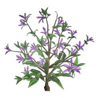 Стебель кипрея