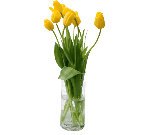 Цветок "Тюльпан"