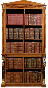 Книжный шкаф №2