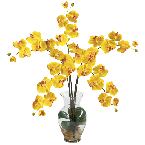 Желтая орхидея