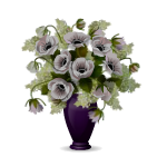 Букет цветов из анемонов