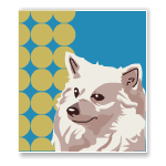 Картина "Белый пёсель"