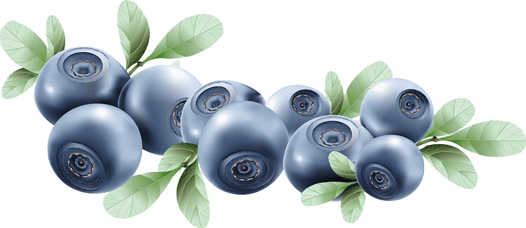 Ягоды черники