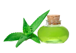 Алоэ древовидное (сок)