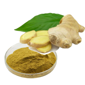 Экстракт имбиря