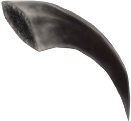 Коготь саламандры